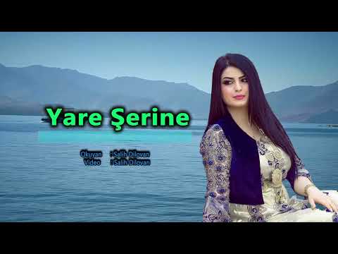 salih dilovan yare şirine