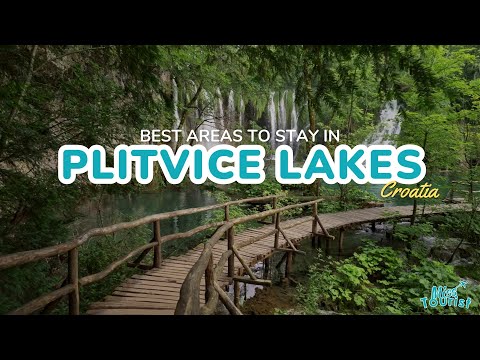 Reproductor de vídeo de YouTube