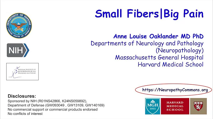Anne Louise Oaklander | Small Fibers, Big Pain || ...