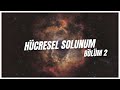 Hücresel solunum kısım 2