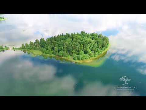 Video: Ežero Salos