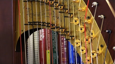 How to Adjust the Bass Disc Prongs of a Pedal Harp, Harp Care, Maintenance, and Repair #24