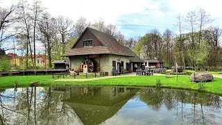 Pszczyna Zamek Stare Miasto Park I Skansen