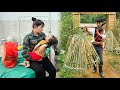 Single mother sick child in hospital  the burden falls on the grandfather  ly phuc binh