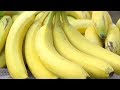 Banana mais doce do Brasil - Indicação Geográfica - Corupá