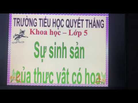 [Khoa học 5] Sự sinh sản của thực vật có hoa - Tuần 28