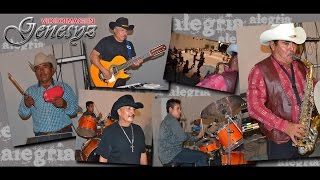 ALEGRIA NORTEÑA PURAS DE SACALE TIERRA... Huapangos fregones en vivo!!