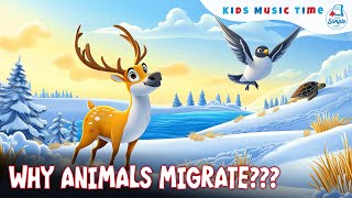 Animal Migration For Kids | Educational Song for Students
