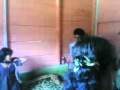bebaskan gerahmu ahmad dhani