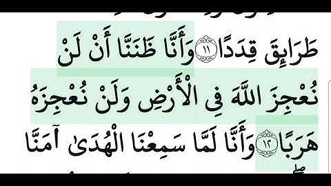 سورة الجن من الآية ١٠ الى ١٣