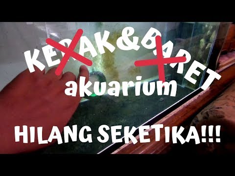 #16 Cara Ganti kaca aquarium Besar sendiri!