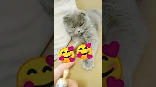 Cat so behave today🥰