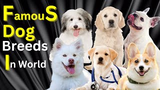 Famous Dog Breeds In The World