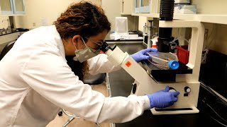 Sepideh Dolatshahi, Assistant Professor of Biomedical Engineering