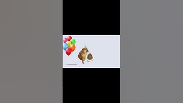 Ding Ding memes: có thể bạn chưa biết