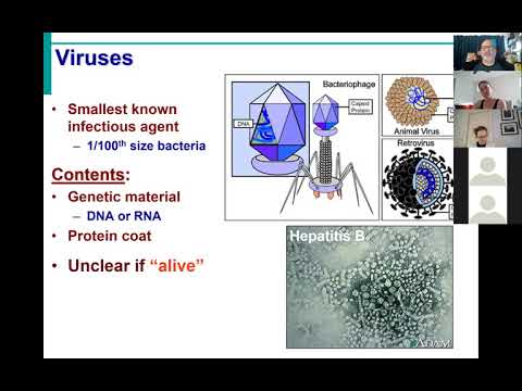 BIOL431 Sp21 બોડી ડિફેન્સ લેક્ચર 1