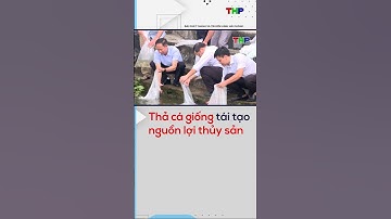 Thả cá giống tái tạo nguồn lợi thủy sản