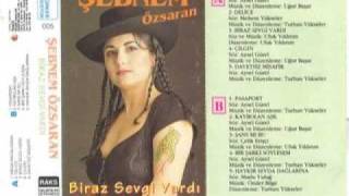 Şebnem Özsaran - Mega Megaloman (1993)