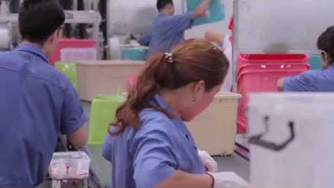 Material handling system | Injection Moulding | Piovan