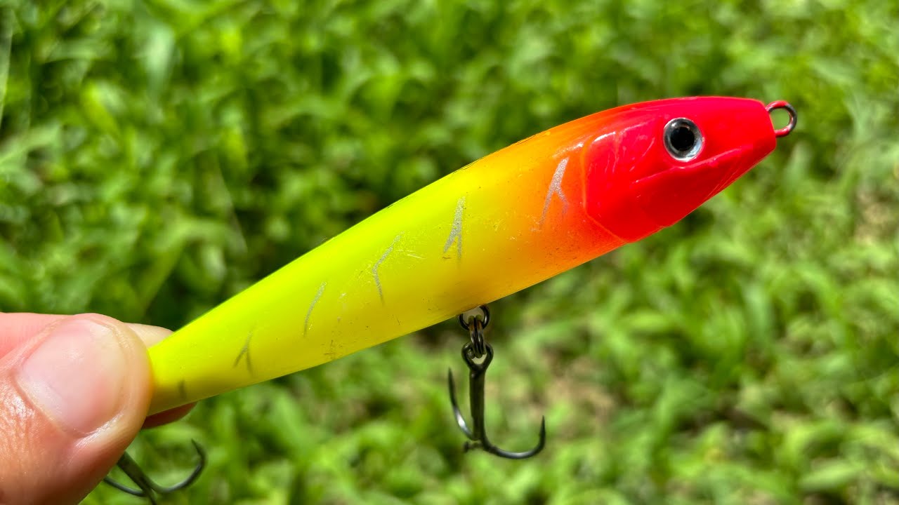 Brazilian Lure] Targeting Catfish with the Sarah Sarah - YouTube