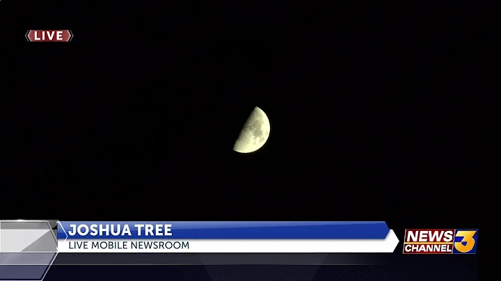 Guests flock to Joshua Tree National Park to watch Perseid Meteor Showers; park advises star ...