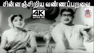 Chinnanjiriya Vanna K.V.மஹாதேவன் இசையில் T.M.சௌந்தர்ராஜன் S.ஜானகி பாடியபாடல் சின்னஞ்சிறிய வண்ணப்பறவை