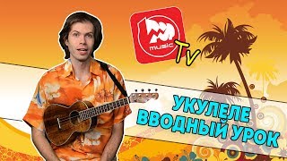 История Укулеле, виды укулеле, как выбрать укулеле и зачем играть на укулеле История Укулеле, виды укулеле, как выбрать укулеле и зачем играть на укулеле