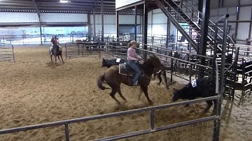 Tamulenas Hickory - aka: Hick - sorting - runs #2 and #3 - Valley View Ranch