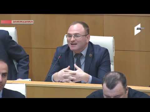 ირაკლი ბერაიას  გამოსვლა პარლამენტის პლენარულ სხდომაზე