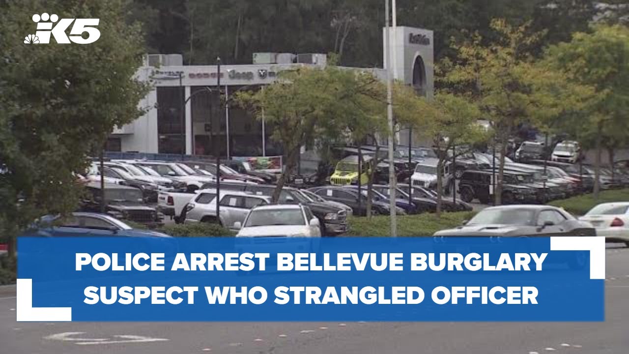 Police arrest Bellevue burglary suspect who strangled an officer - YouTube