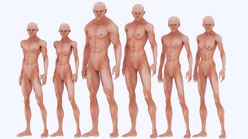 Hybrid Morph Sliders | iClone 7 | Character Creator 2