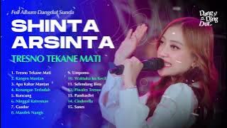 TRESNO TEKANE MATI - SHINTA ARSINTA | FULL ALBUM DANGDUT KOPLO MUARA BINTANG 2025