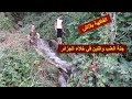 اكتشفنا جنة مليئة بالعنب والفواكه في خلاء الجزائر