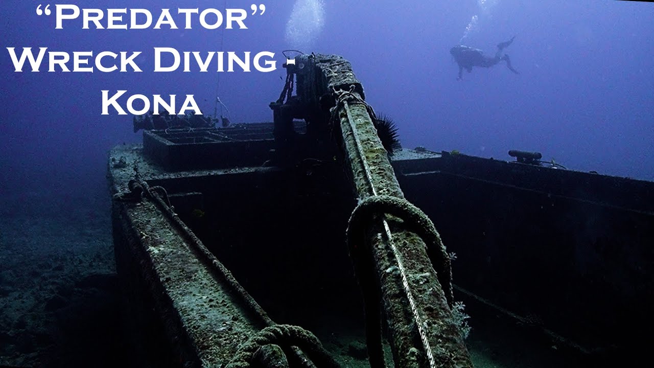 Scuba Diving Predator Wreck Diving Site Kona, Hawaii June 2020 YouTube