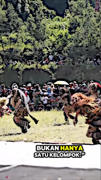 It turns out that there are many teams besides GWSM that make the stage hot‼️🥶 #jathilan #gedruk ...