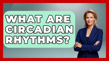 What Are Circadian Rhythms? - Sleep Wellness Workshop