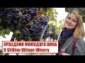 ВИННЫЙ ФЕСТИВАЛЬ И ДЕГУСТАЦИИ В SliVino Village Winery. Винный туризм. Дегустация вина