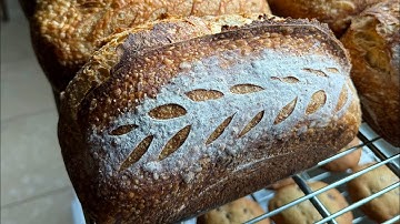 My Process For Handmixing 10 Sourdough Country Loaves in My MicroBakery (Start To Finish) 