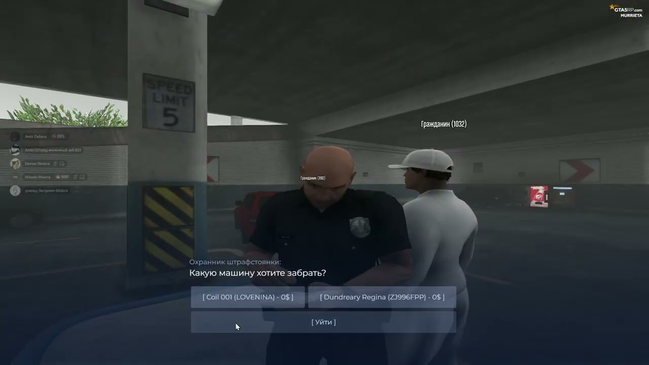 RAGE Multiplayer 2026 02 20 20 04