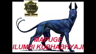 MAPUGE ILUMBI KUBHABHYAJI BY LWENGE STUDIO