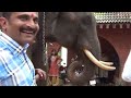 ELEPHANT FEAST - AANA OOTTU ആന ഊട്ട്