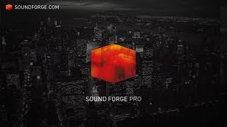 SOUND FORGE Pro 12: State of the art mastering, sound design and editing