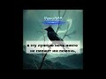 NeverfakE Vorona REMIX 
