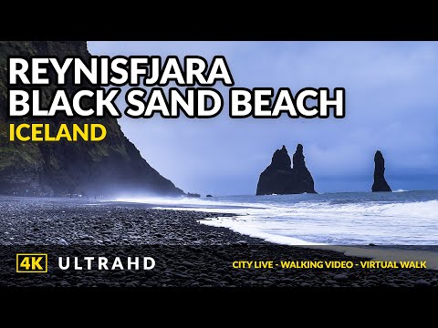 Video: Het zwarte zandstrand van Reynisfjara in IJsland: de complete gids