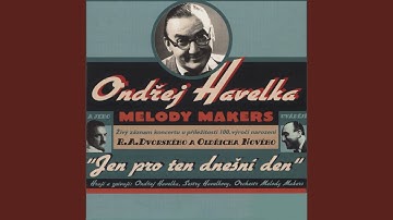 Znelka - Divko v modrem