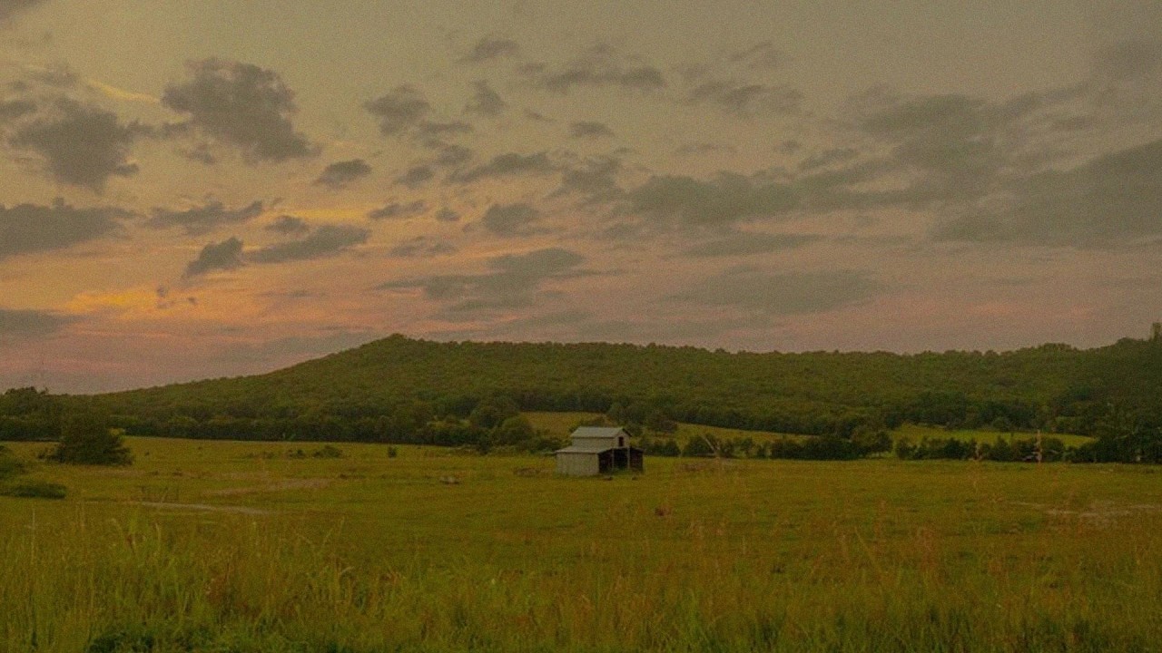 playlist for a morning in countryside 🌤️