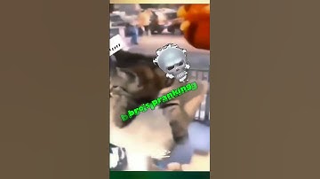 Cat is pranking 😼😈 ||  #shorts #viralshorts #trendingshorts #trollfaceedit