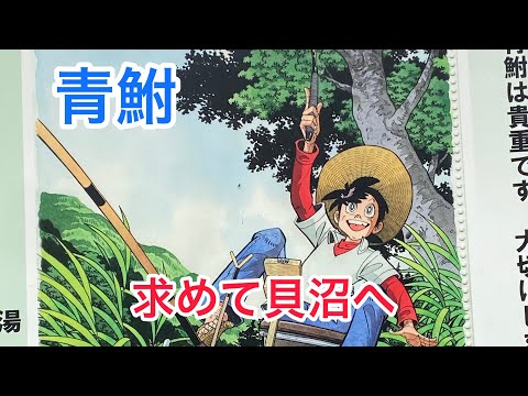 釣り三平の青鮒を求めて　秋田県の貝沼へ