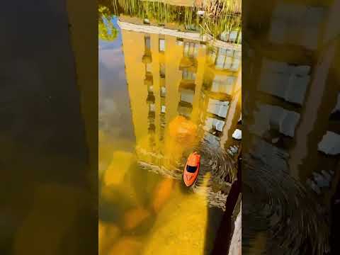 Дитячий іграшковий катер човен корабель моторний на радіокеруванні пульті управління для води помаранчевий, видео 1