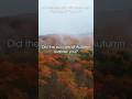 Will Ackerman Interview Q4 #georgewinston #autumn #autumnmusic #fallmusic #piano #solopiano #fall